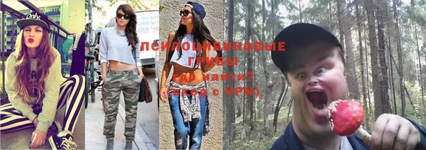 кокаин Алексеевка