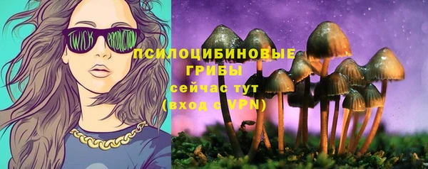 ALPHA PVP Алзамай