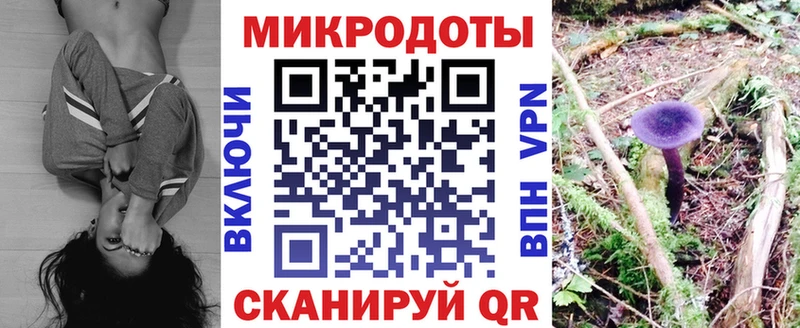 Псилоцибиновые грибы Psilocybine cubensis  Уфа 