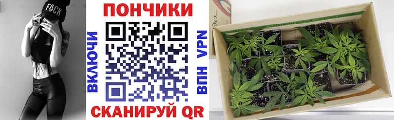 Канабис сатива  сколько стоит  Уфа 